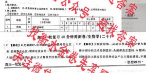 衡水金卷先享题 2024-2025高三一轮复习40分钟周测卷语文(四)4答案